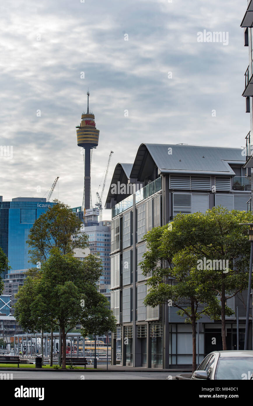 New office buildings and apartments in the rejuvenated Pyrmont suburb