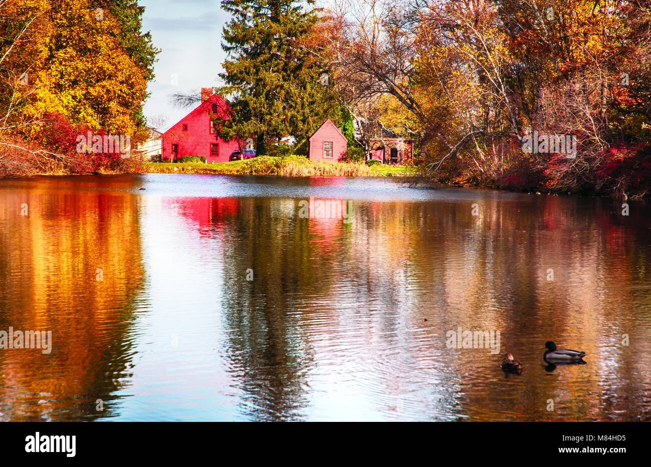 Empty book cover autumn leaves hi-res stock photography and images - Alamy