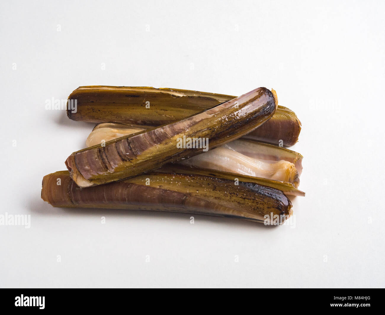 Raw razor clams Stock Photo Alamy