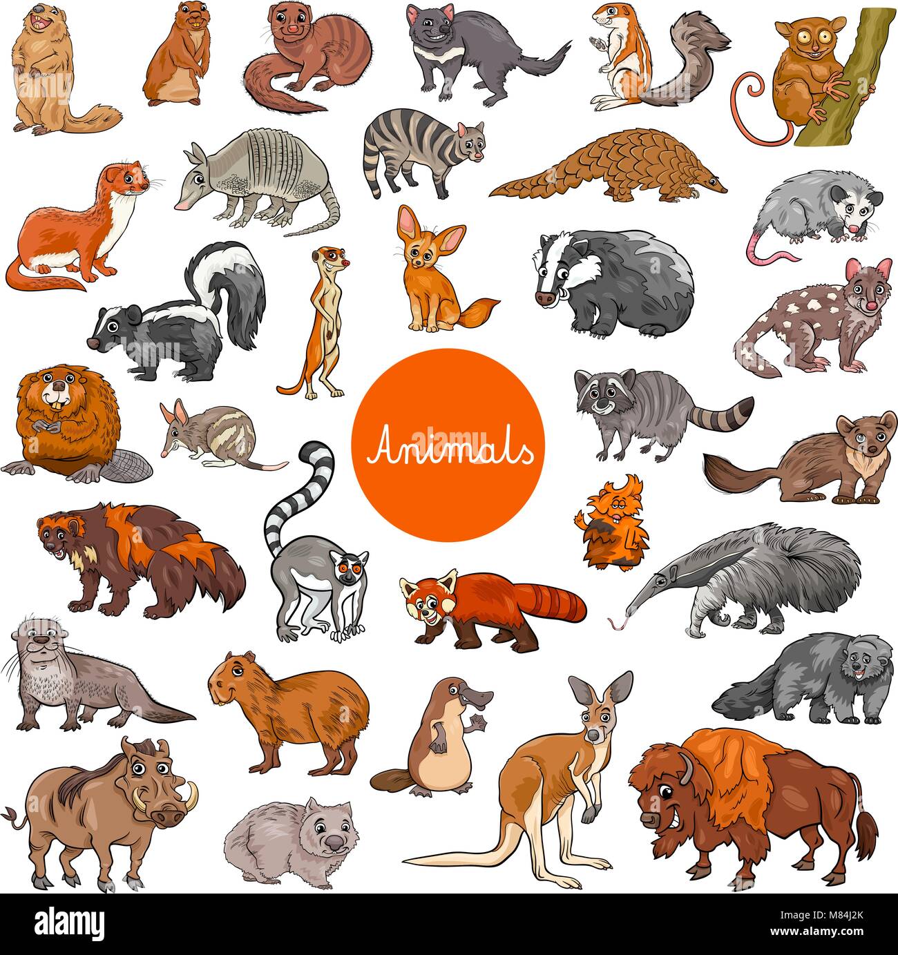 Cartoon Illustration Of Wild Mammals Animal Characters Big Set Stock