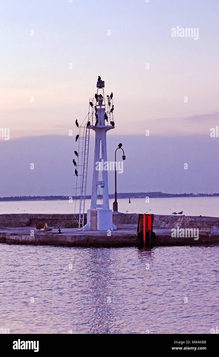 Little lighthouse with seagulls in the evening, Odessa, Ukraine Stock Photo