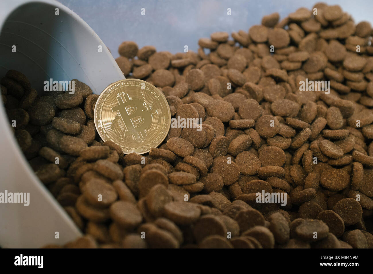 Bitcoin gold coin with pet food and scoop Stock Photo - Alamy