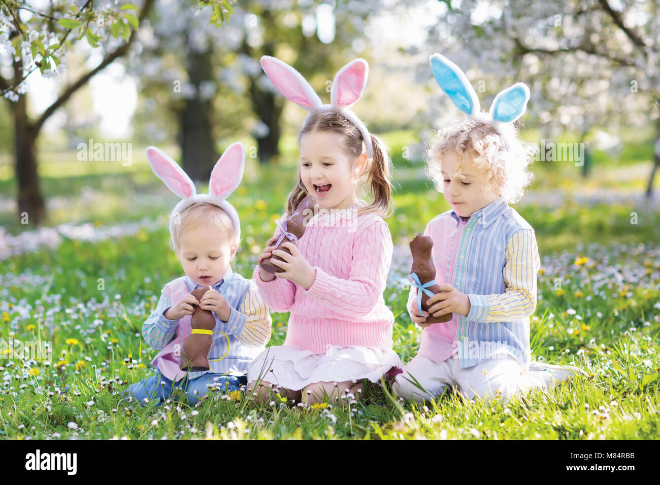 Kids with bunny ears on Easter egg hunt in blooming cherry blossom garden. Little boy and girl eat chocolate rabbit. Spring flowers and eggs basket in Stock Photo