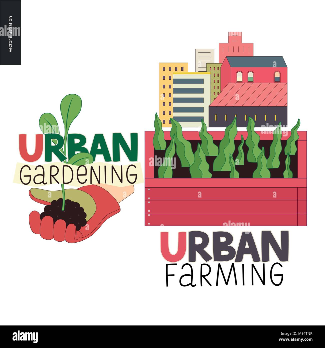 Urban farming, gardening or agriculture sign logo. A wooden seedbed with leaves of salad, a house on the background. A hand wearing gauntlet holding a Stock Vector