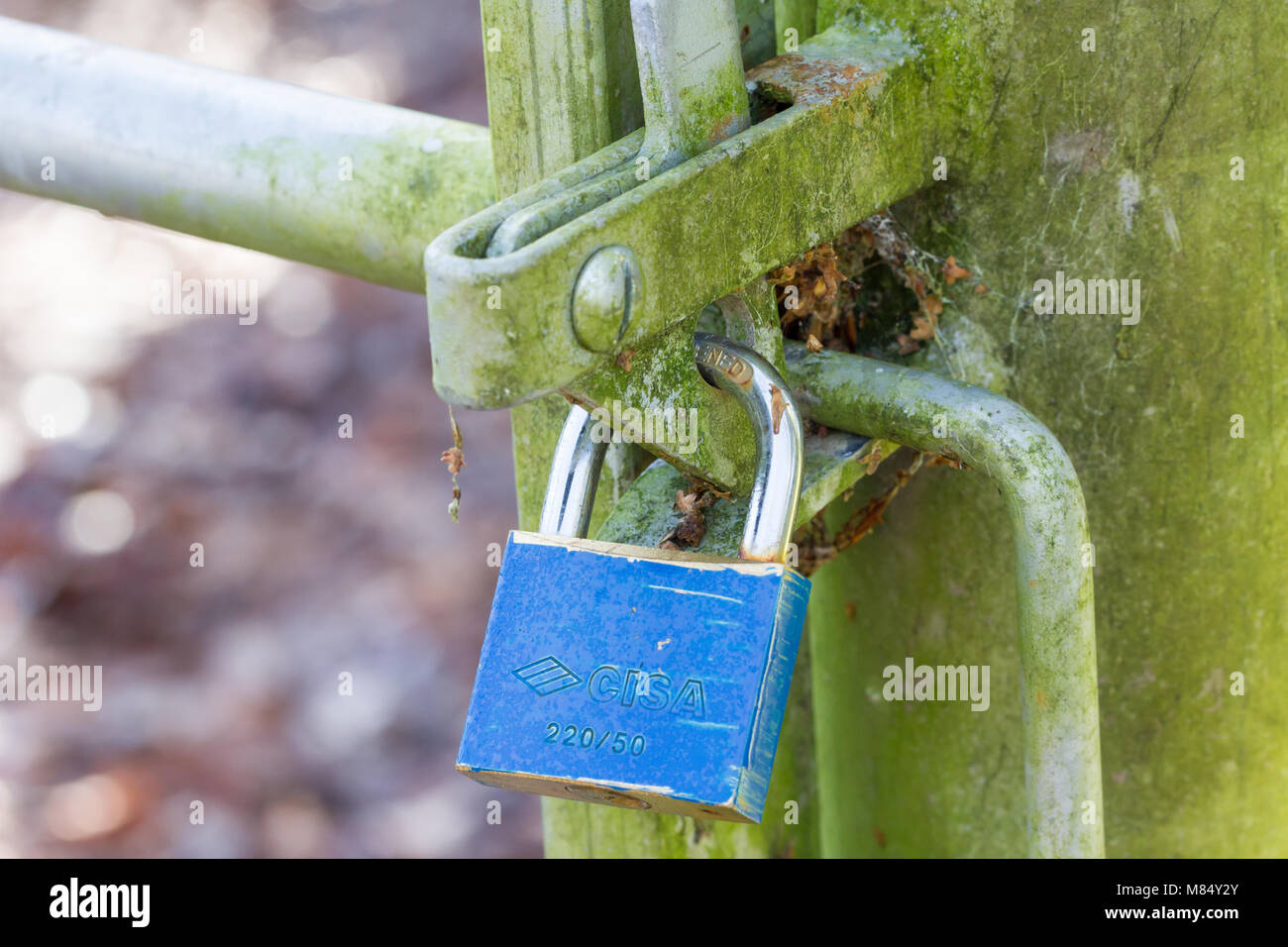 Padlock on a gate Stock Photo Alamy