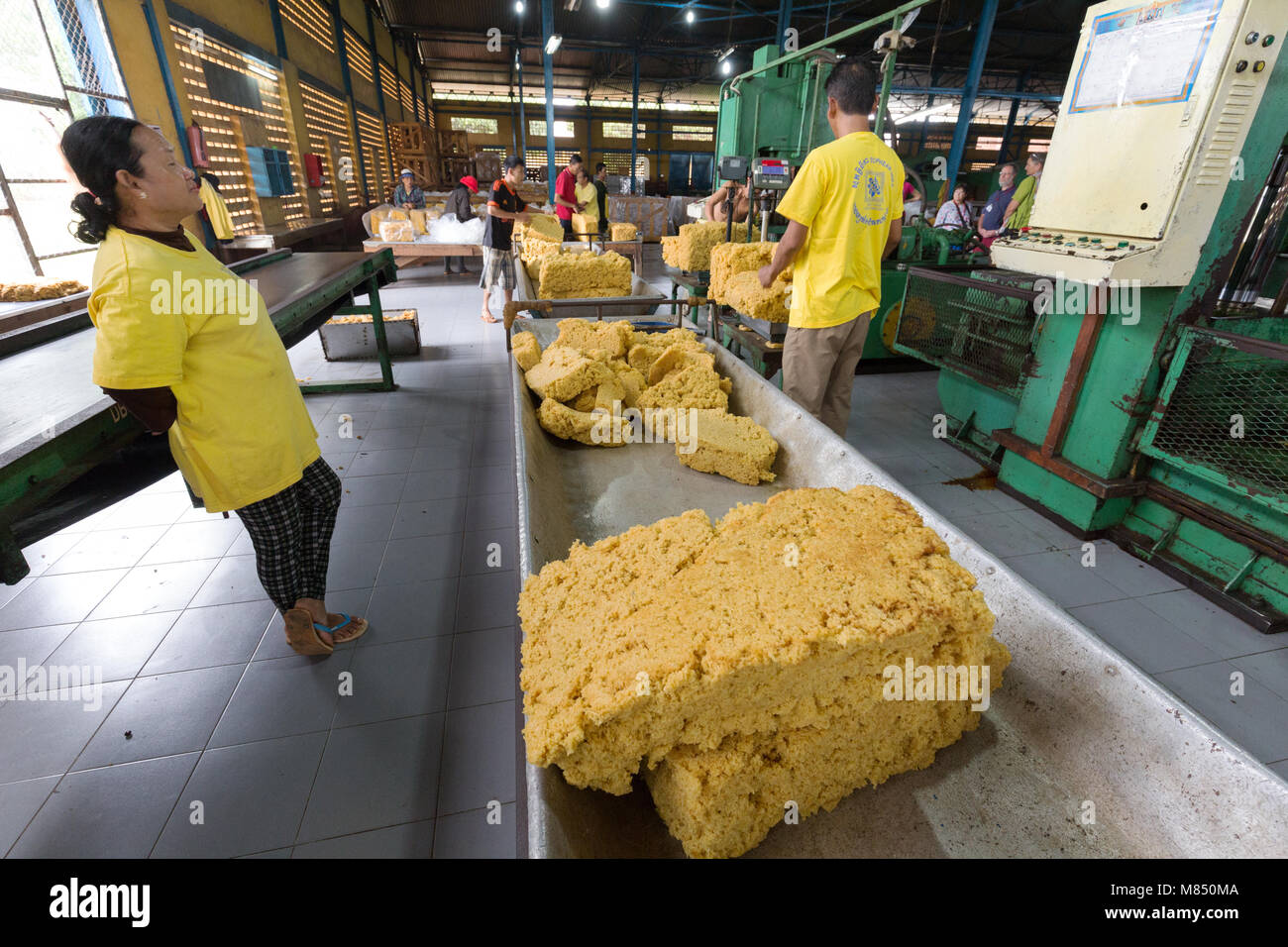 Rubber factory, Cambodia, Asia workers producing rubber in a rubber