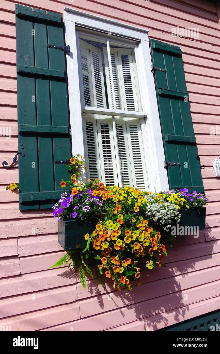 House window with flowers, St. Augustine, Florida Stock Photo Alamy