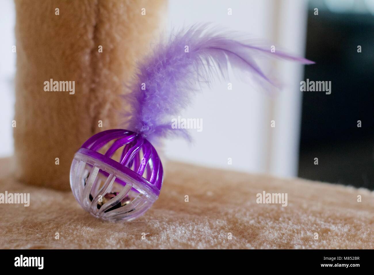 Feather cat toy resting on cat perch Stock Photo