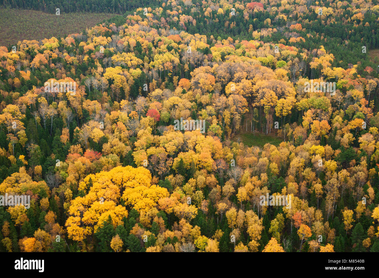 Aerial scenic autumn view of a colorful forest Stock Photo - Alamy