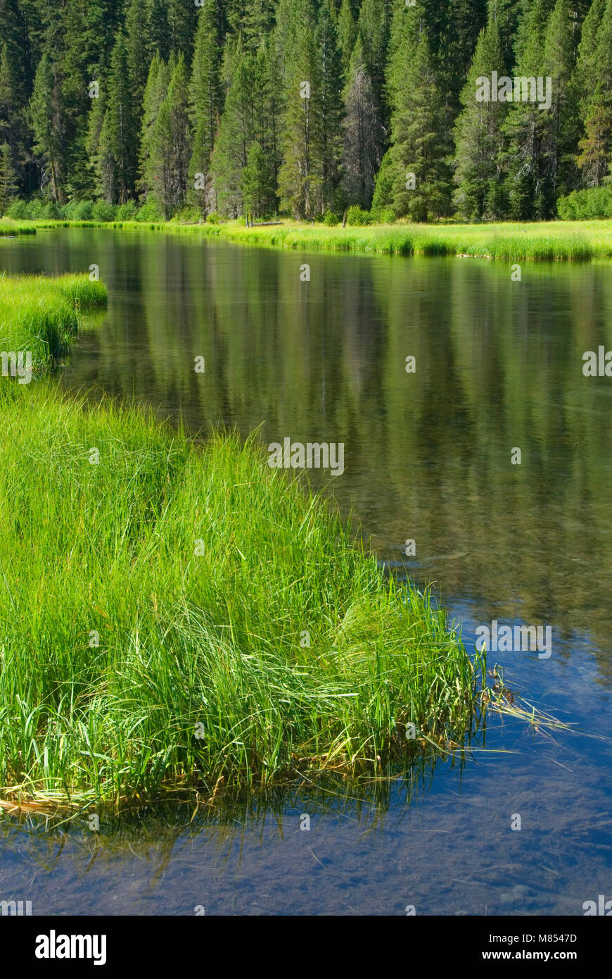 Truckee river trail nevada hi-res stock photography and images - Alamy