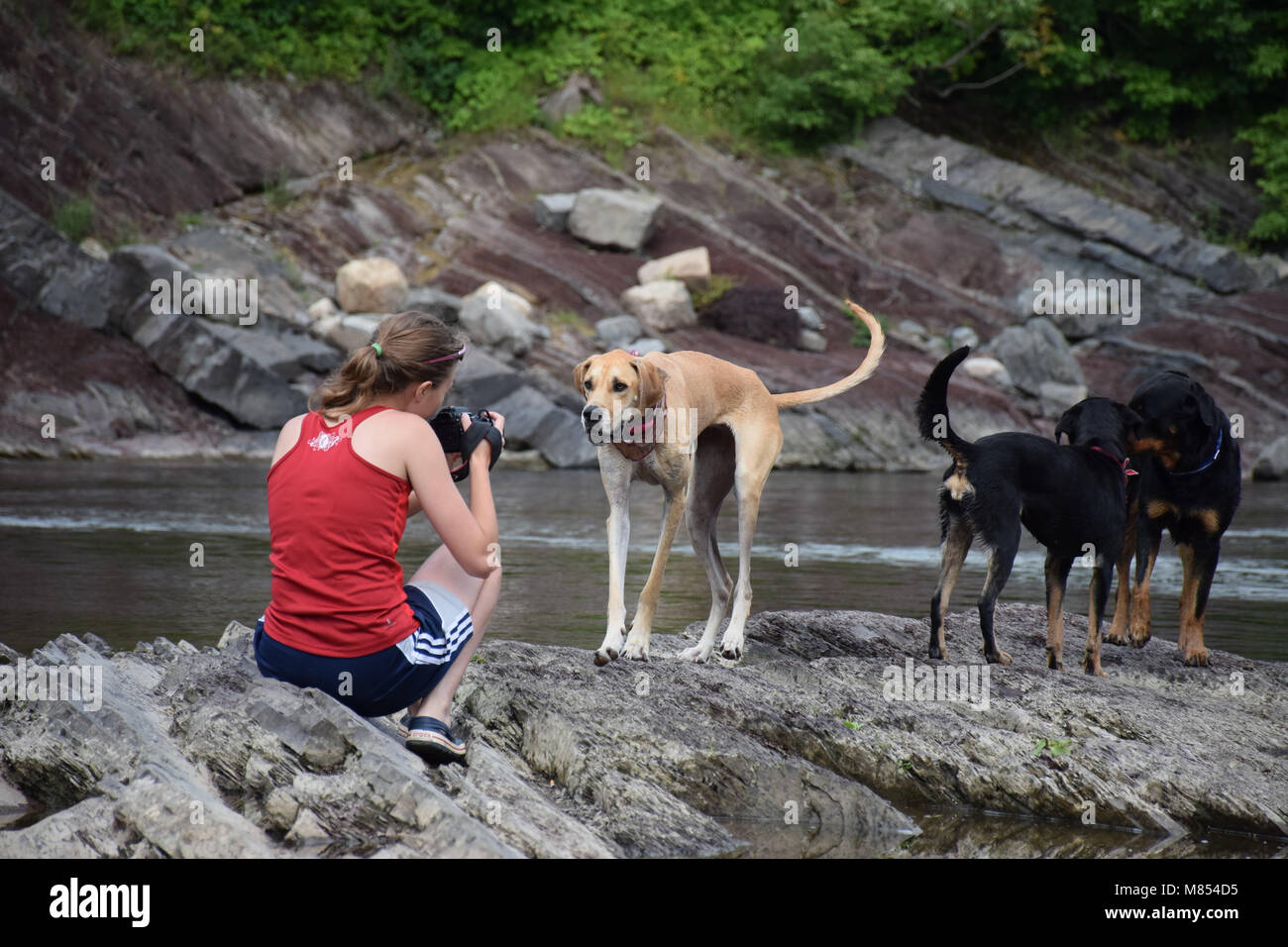 Photographer taking photos of a dog Stock Photo