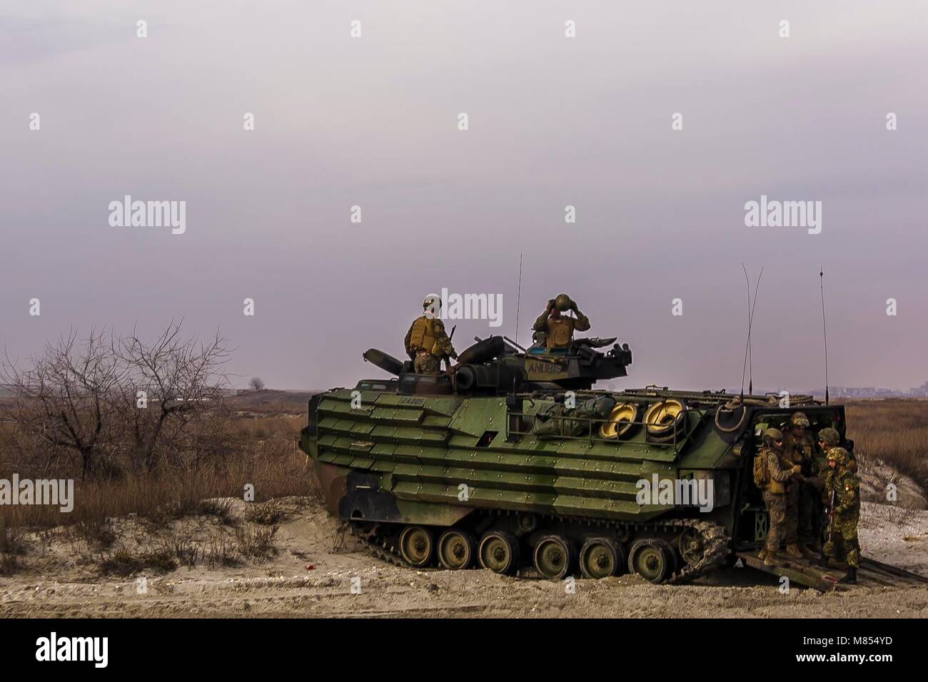 CAPU MIDIA TRAINING AREA, Romania (March 12, 2018) Members of the Romanian 307th Naval Infantry Battalion and Marines with Fox Company, Battalion Landing Team, 2nd Battalion, 6th Marine Regiment, 26th Marine Expeditionary Unit, mount an AAV-P7/A1 assault amphibious vehicle attached to Fox Co., BLT 2/6, 26th MEU, after a bilateral amphibious assault during exercise Spring Storm 2018, March 12, 2018. Spring Storm is a Romanian-led exercise in the Black Sea to enhance amphibious operations and staff interoperability between Romanian and U.S. naval forces. (U.S. Marine Corps photo by Staff Sgt. De Stock Photo