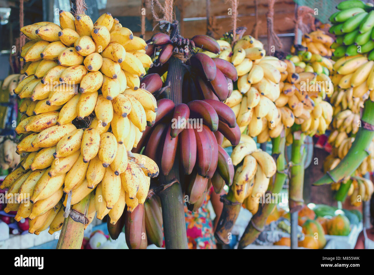 Fruit market in Sri Lanka - yellow and red bananas on branches. Natural  simple organic food Stock Photo - Alamy