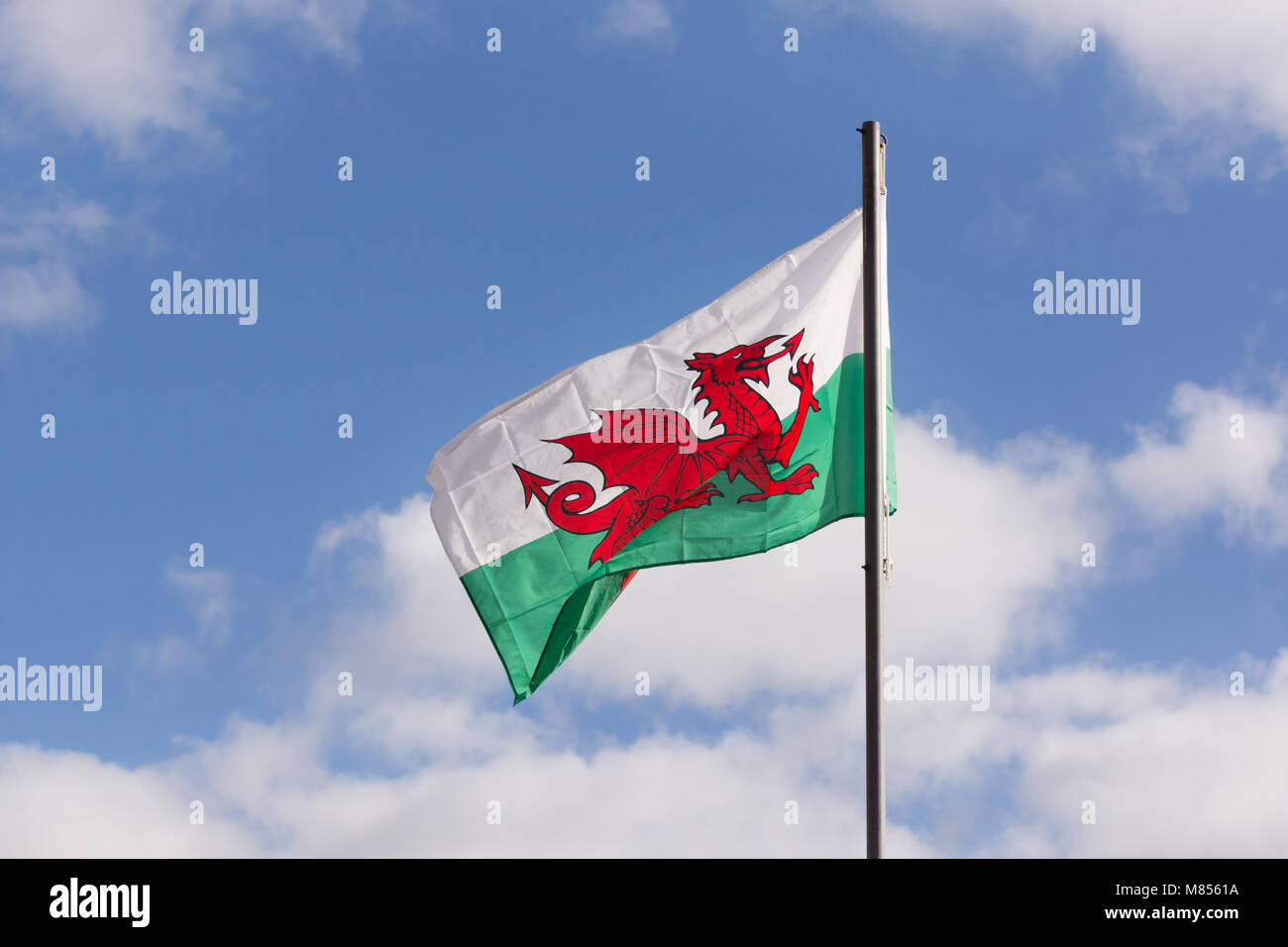 A Welsh flag flying from a pole the red dragon or Y Ddraig Goch of Cadwaladr King of Gwynedd dates back to circa 655ad Stock Photo