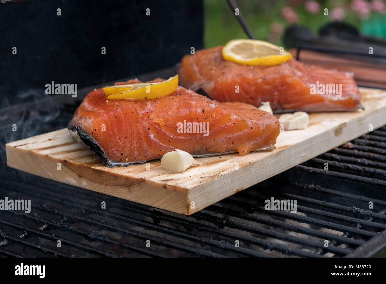 cedar plank salmon with lemon cooking on grill Stock Photo Alamy