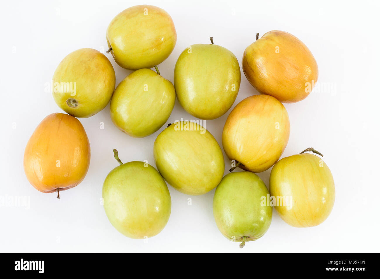 Malay jujube hires stock photography and images Alamy
