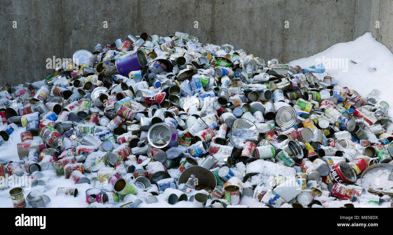 Metal cans in community recycling collection bin Stock Photo Alamy