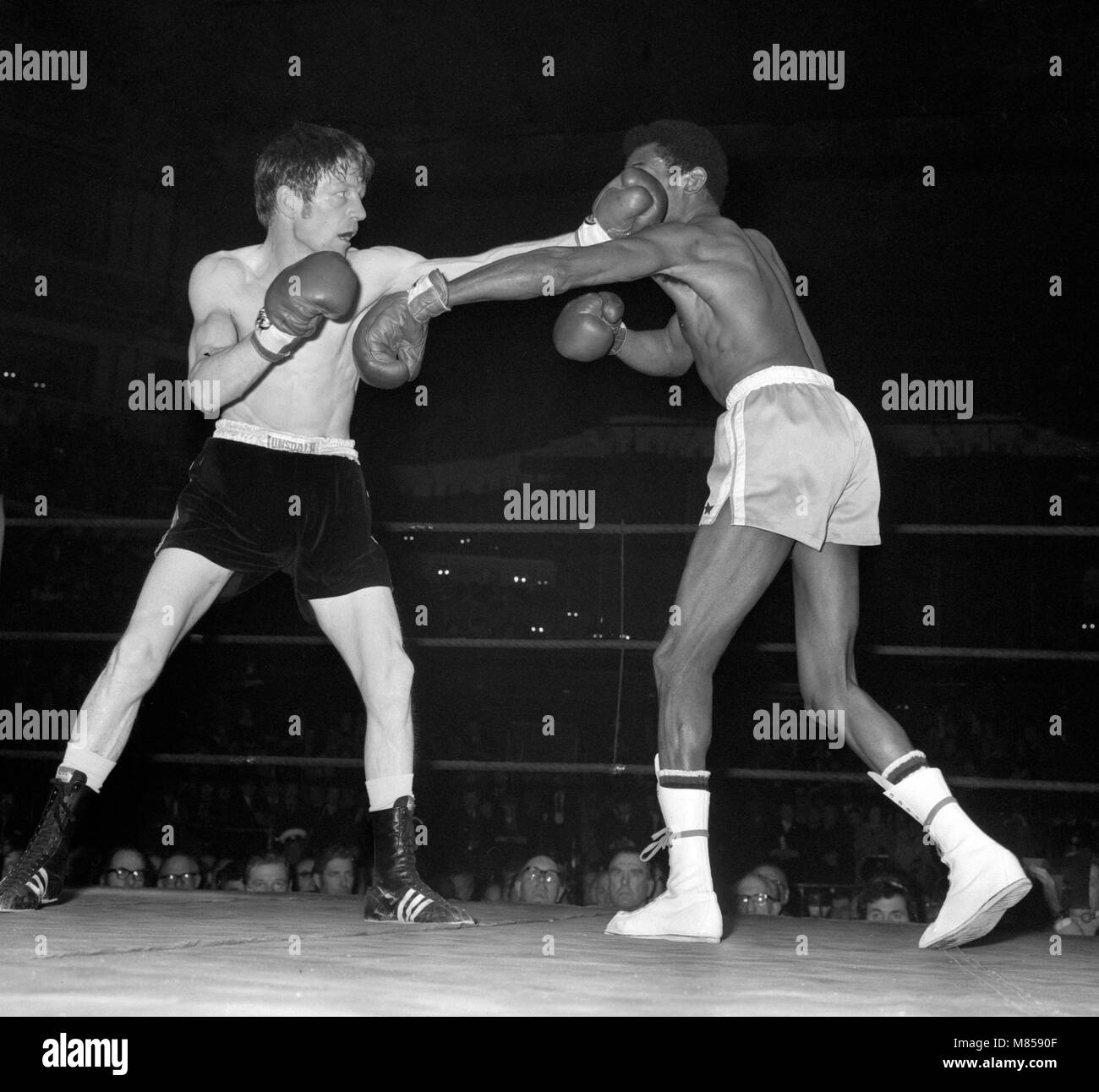 British featherweight champion evan armstrong hires stock photography