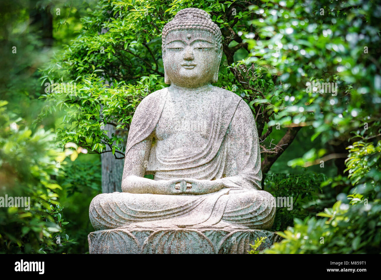 Buddha statue in the garden Stock Photo Alamy