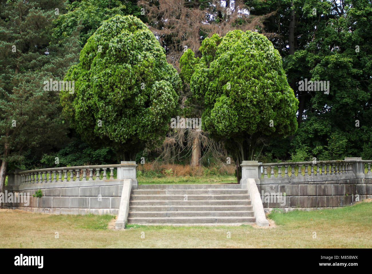 Some Stone steps with trees Stock Photo - Alamy