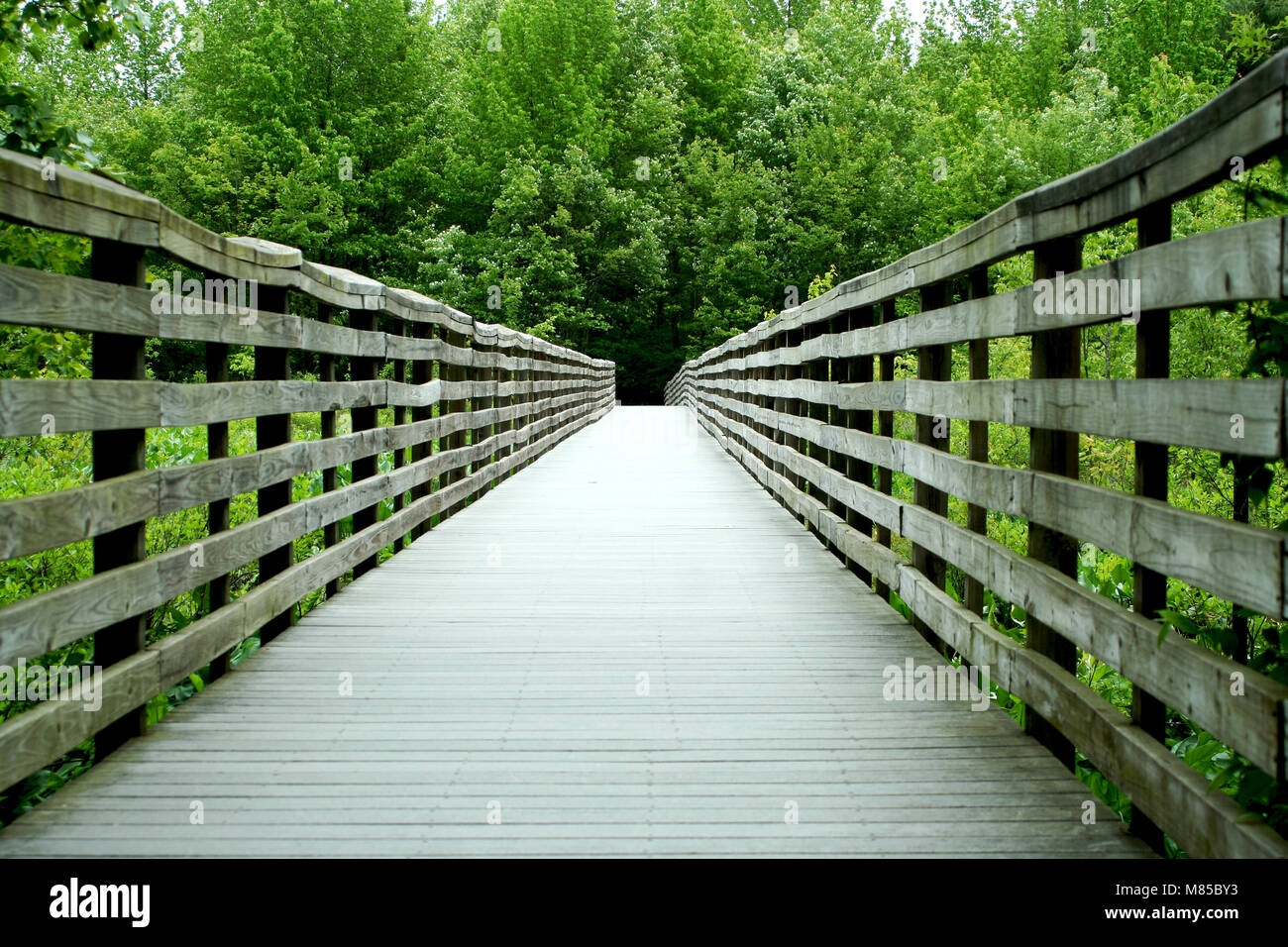 Wooden bridge in the forest hi-res stock photography and images - Alamy