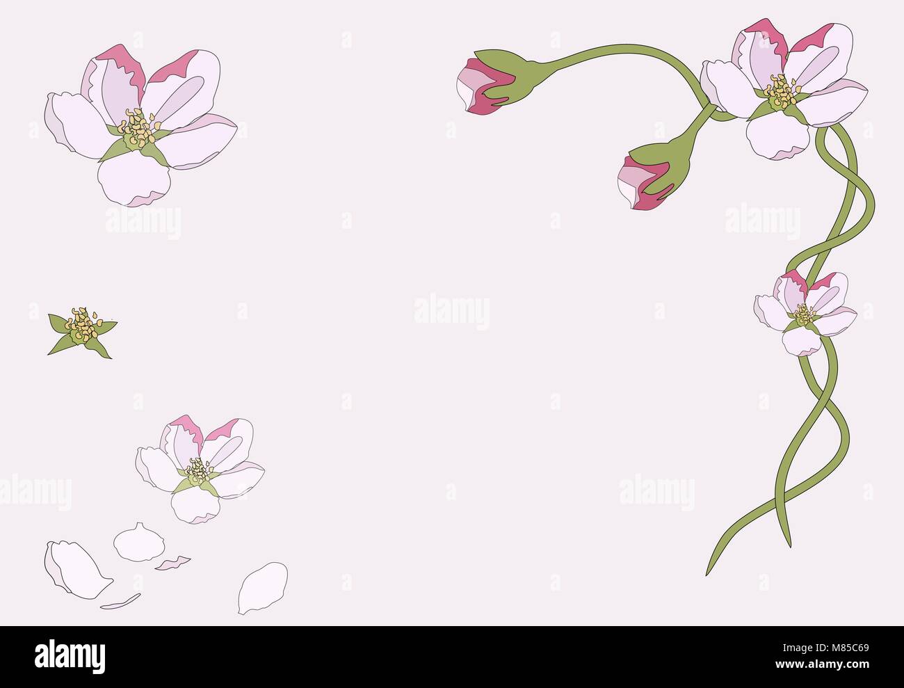 Pink cherry blossom sakura flowers in a Japanese style. Spring ...