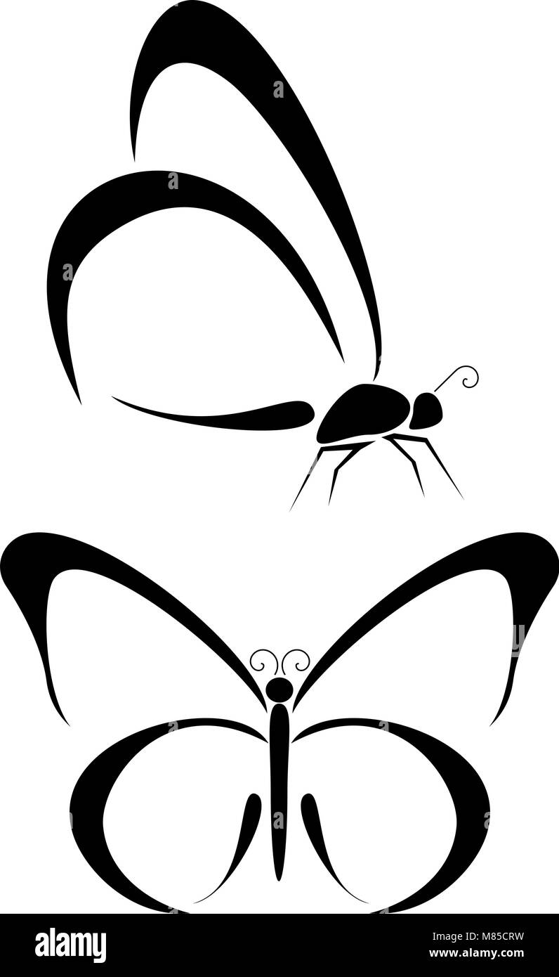 How To Draw A Butterfly Tattoo Monarch Butterfly Step by Step Drawing  Guide by Dawn  DragoArt