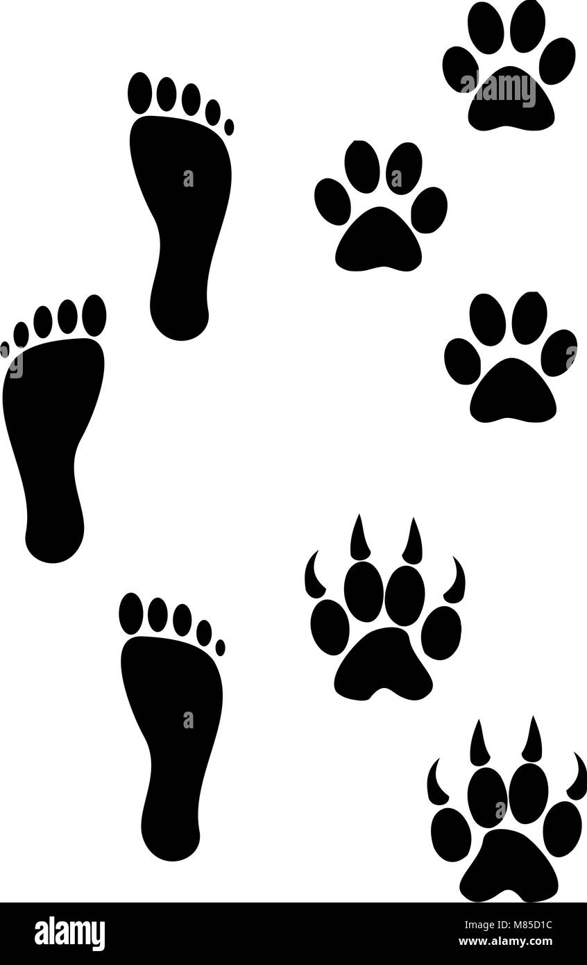 Bear paw tattoo hi-res stock photography and images - Page 2 - Alamy