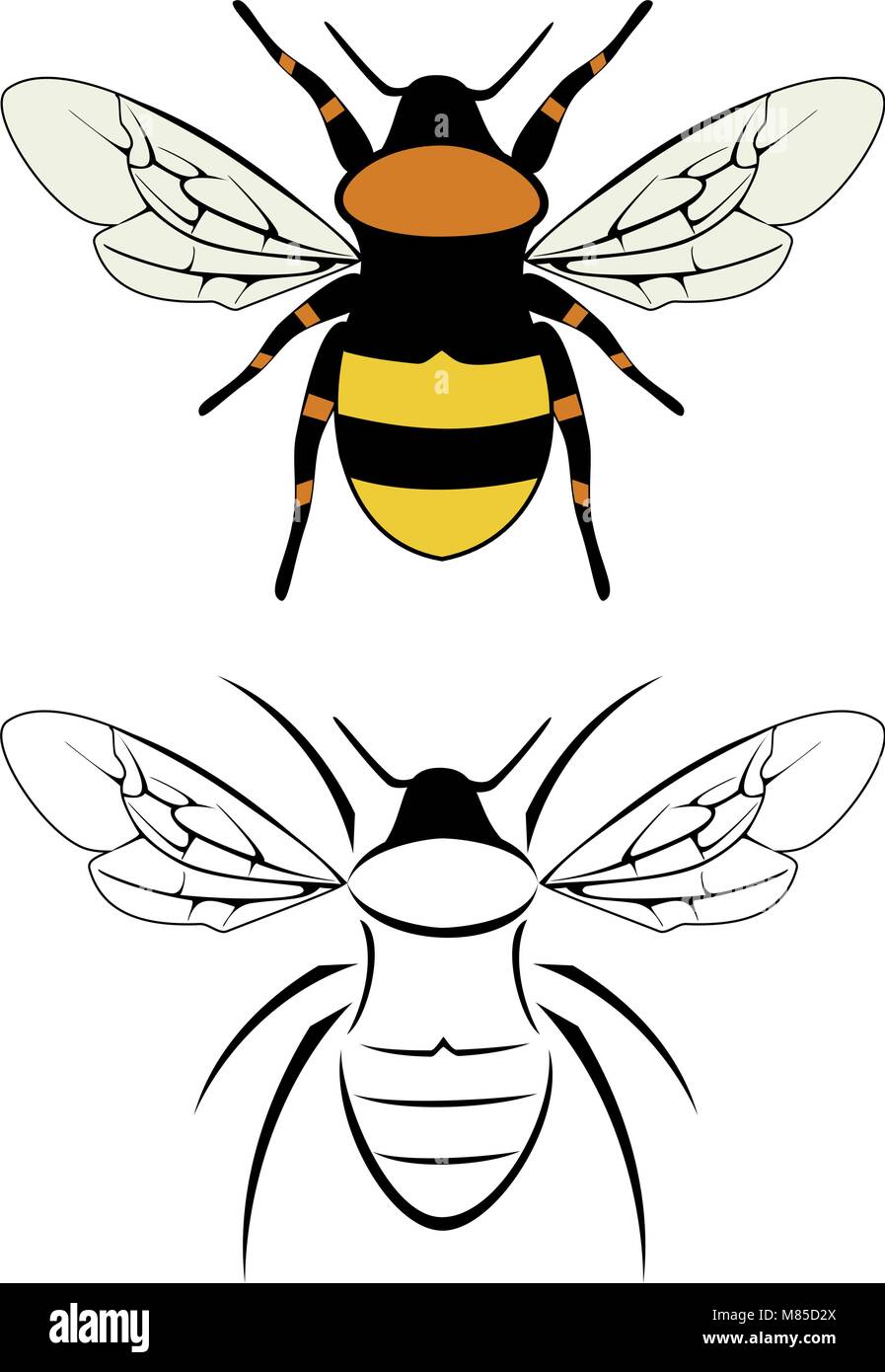 Bee tattoo Cut Out Stock Images & Pictures - Page 2 - Alamy