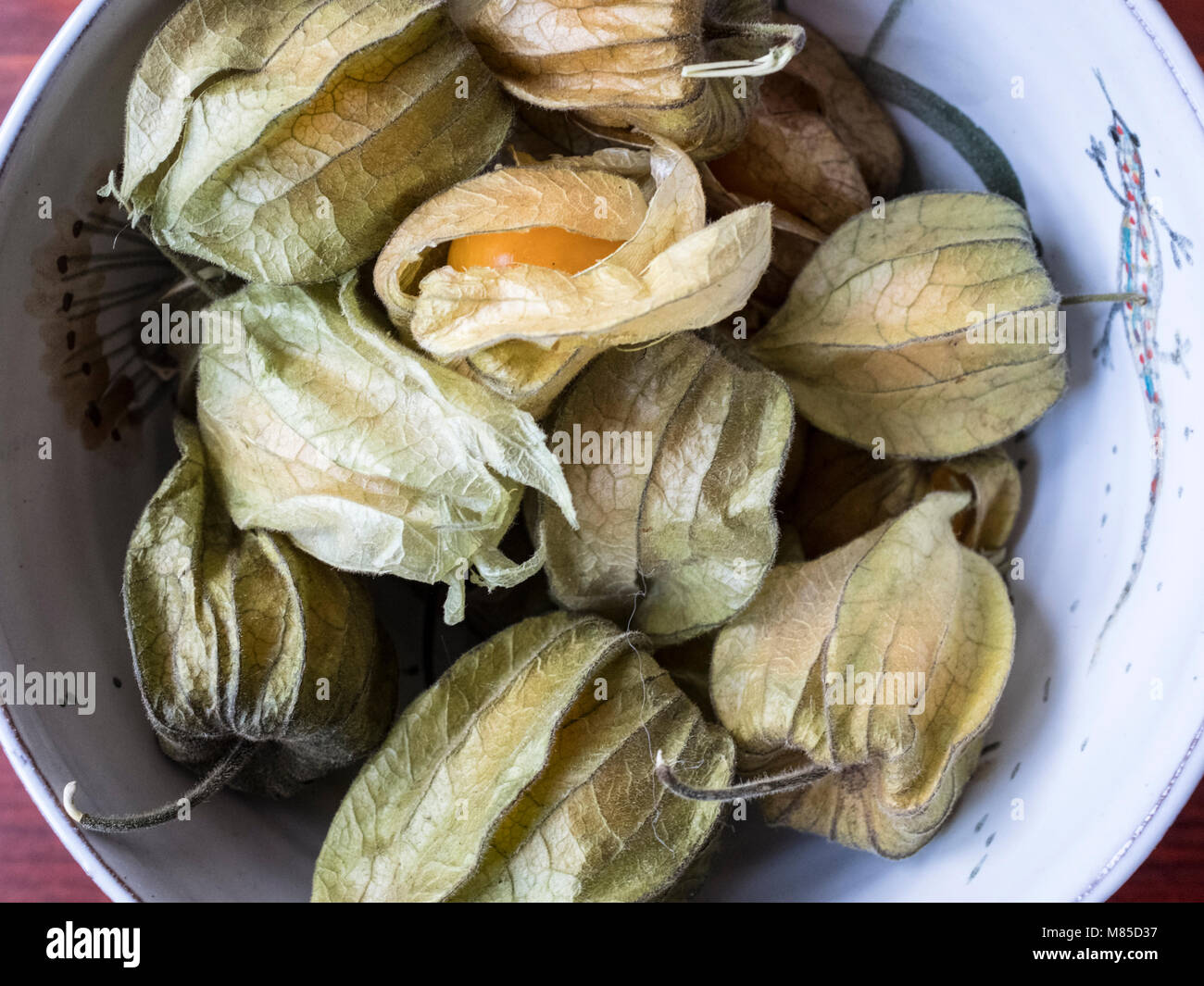 Inca berries hi-res stock photography and images - Alamy
