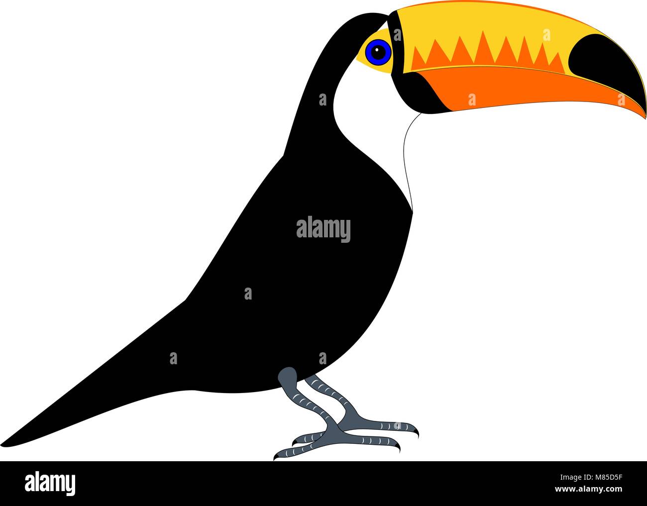 A isolated tucan bird Stock Vector