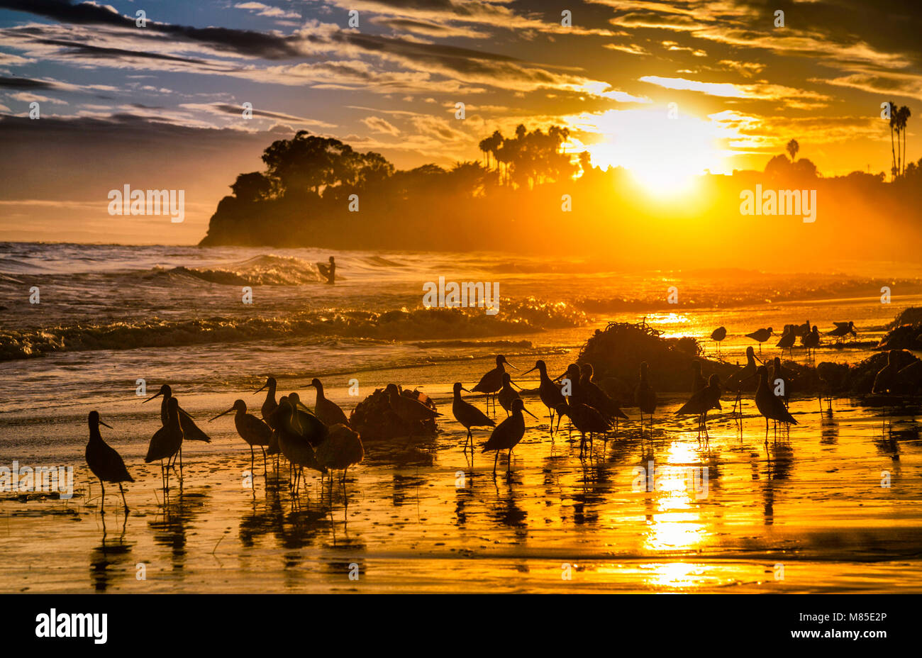 Ocean Pacific Beach at Sunset Stock Photo