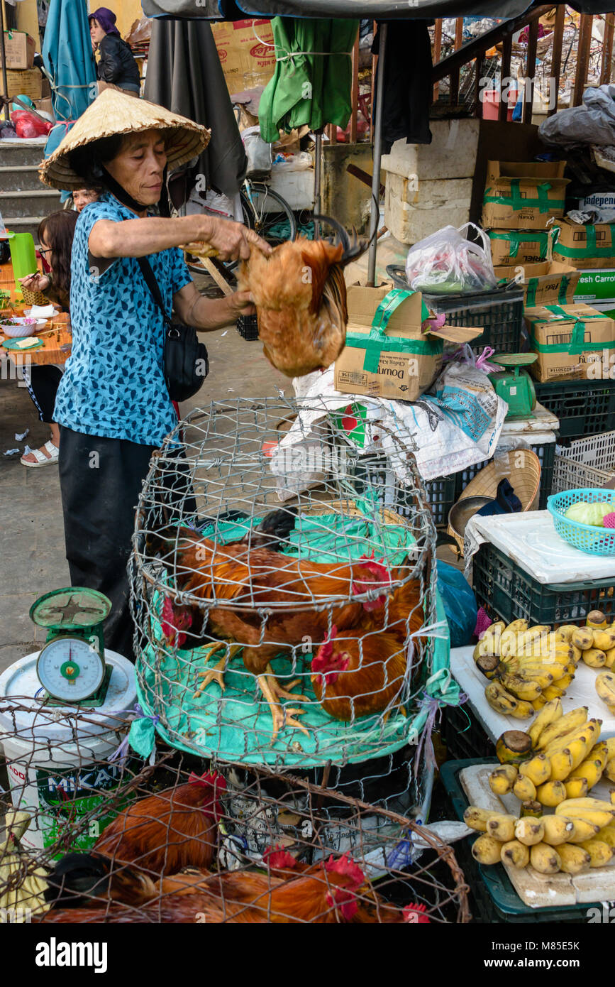 A woman wearing a traditional Vietnamese conical bamboo hat holds a chcken by the legs as she sells it to a customer in Hoi An, Vietnam Stock Photo
