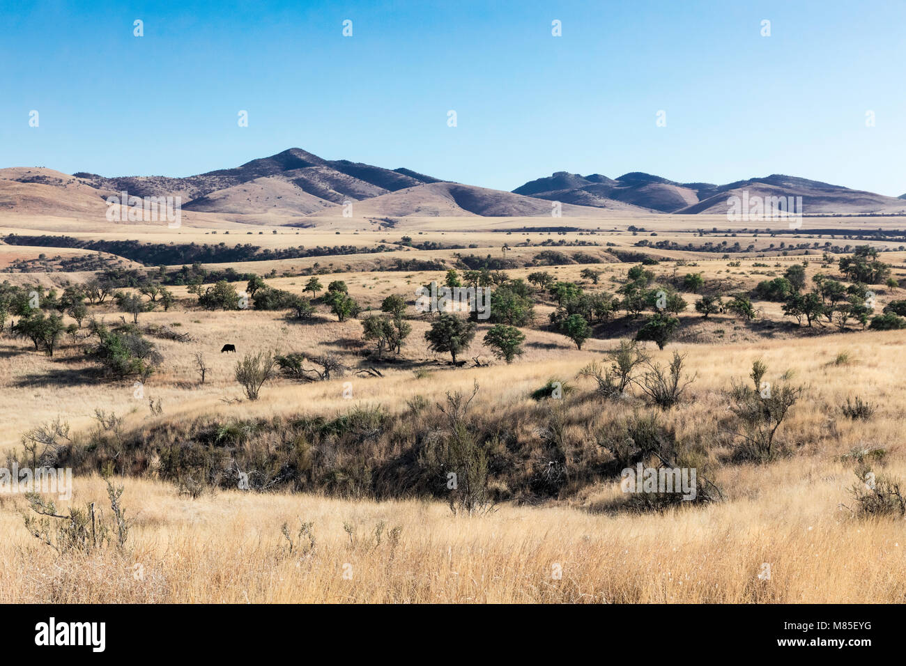 Scenic Cochise County, Southeastern Arizona Stock Photo