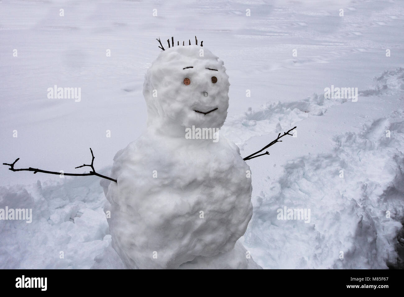 White snowman with sticks as arms pennies as eyes pop can top as nose rocks as mouth Stock Photo