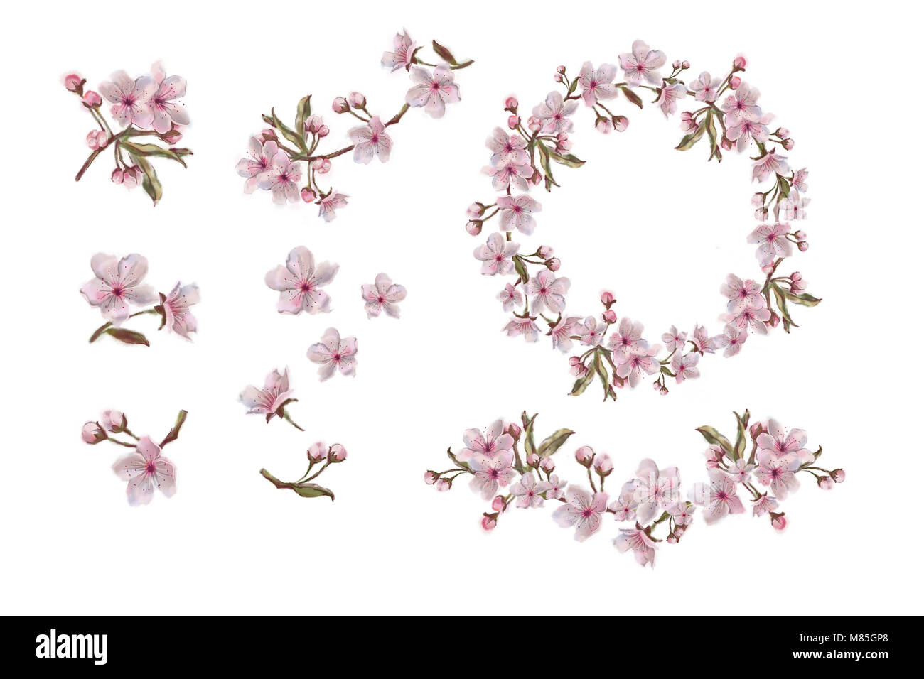 Flower Elements Isolated on White. Apple/Almond/Cherry Spring Blooms. Pink Flower Wreath, Swag, Branch, and Flowers. Watercolor Painted Sakura Flowers. Stock Photo
