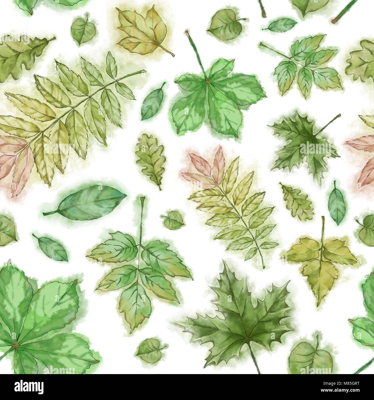 Green Leaves Seamless Pattern isolated on White. Watercolor Hand ...