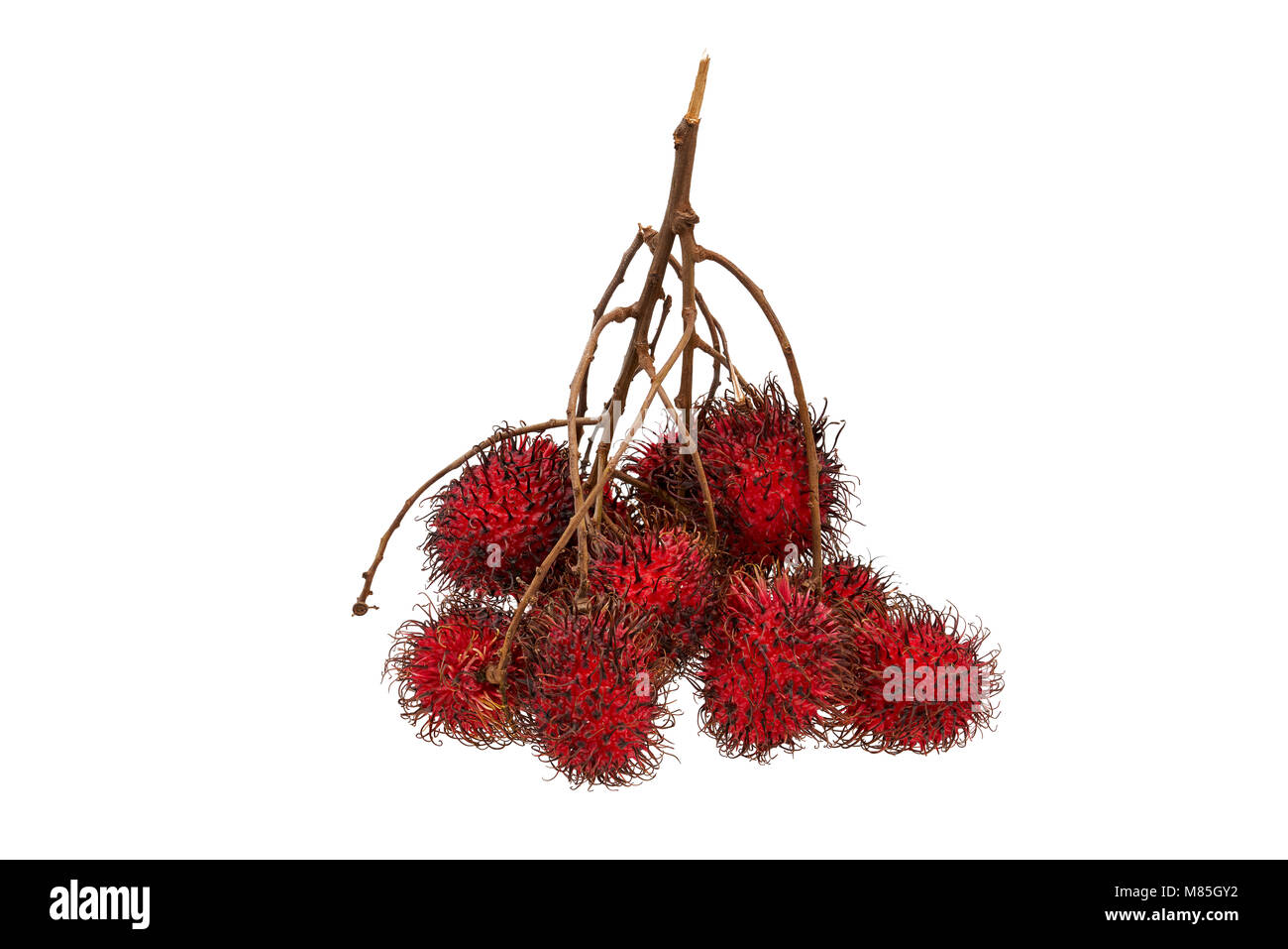 Hairy fruit hi-res stock photography and images - Alamy