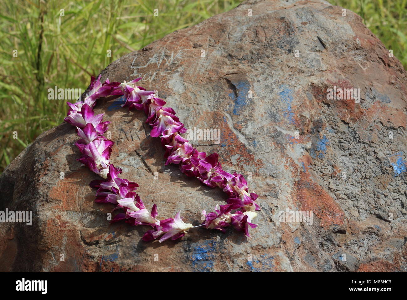 Hawaiian Rock Lei Stock Photo - Alamy