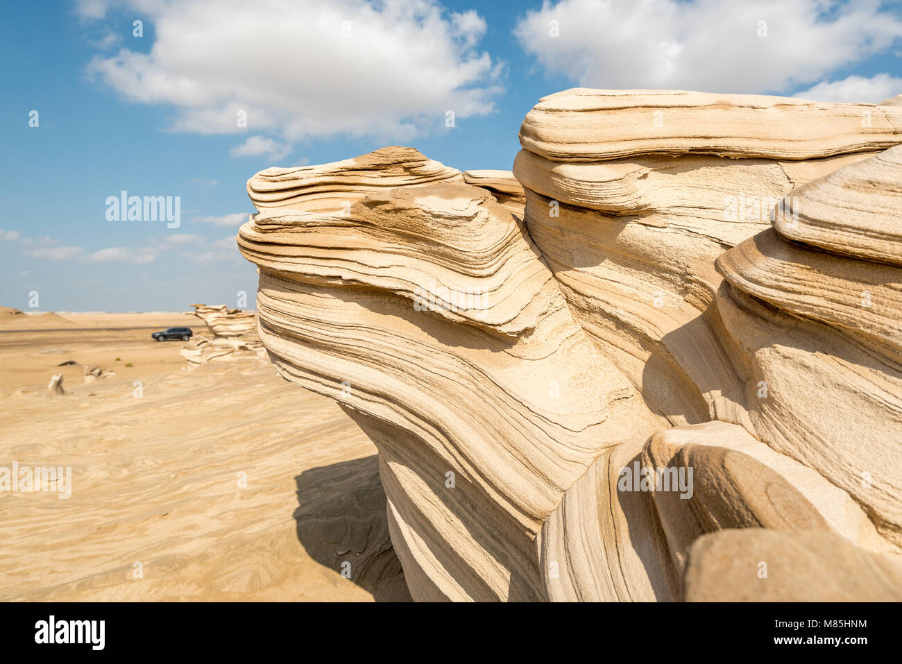 Fossil Dunes, Al Wathba, Abu Dhabi, United Arab Emirates. Hardened sand (sand stone) dunes in