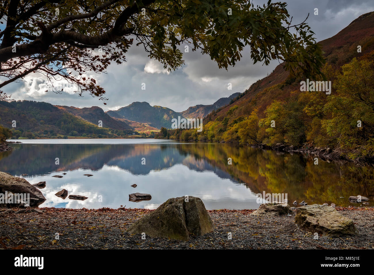 Trees in autumn colours with reflections in Llyn Crafnant, Snowdonia, North Wales Stock Photo