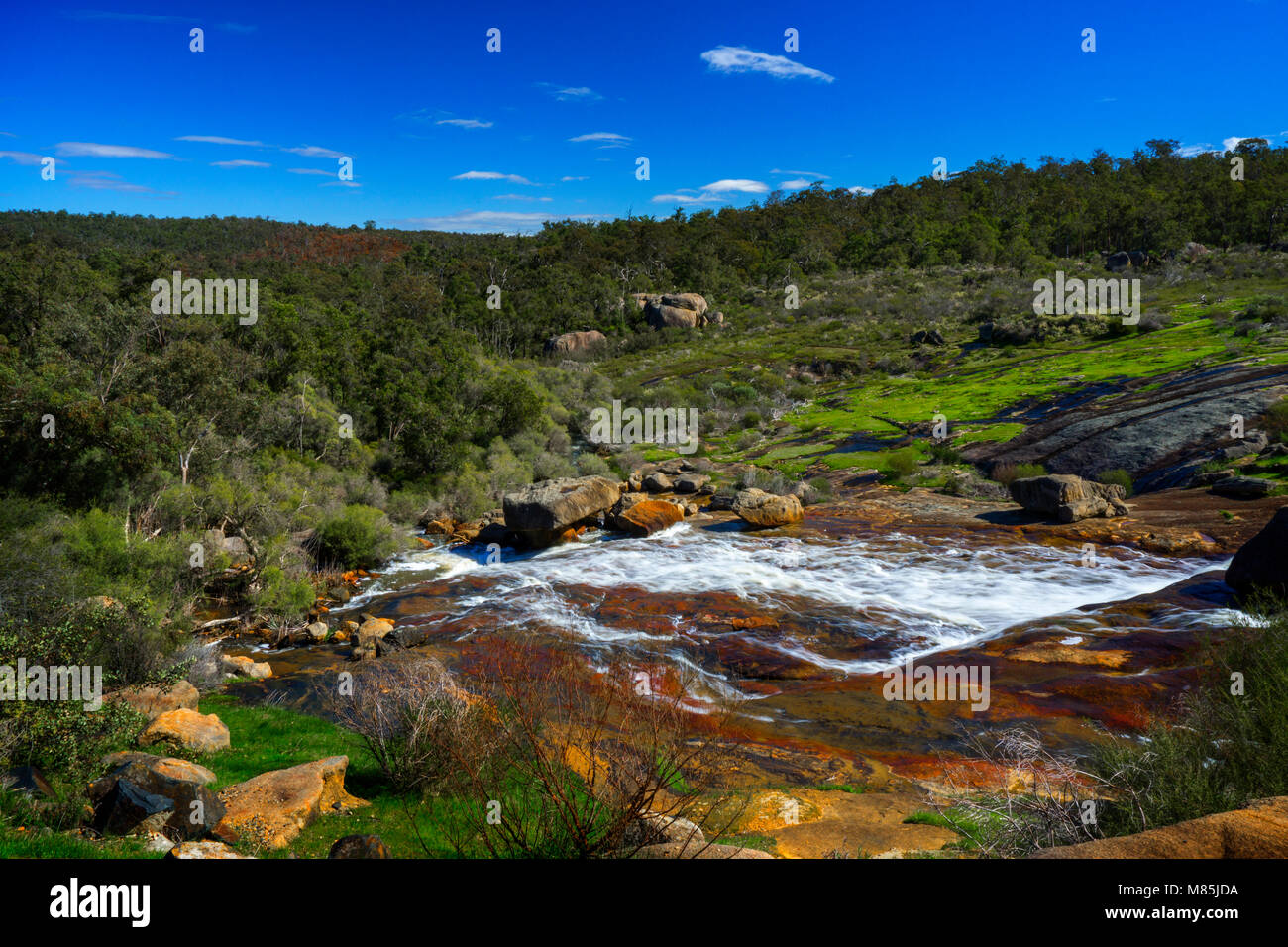 Hovea Falls, John Forrest National Park, Perth Hills, Western Australia Stock Photo