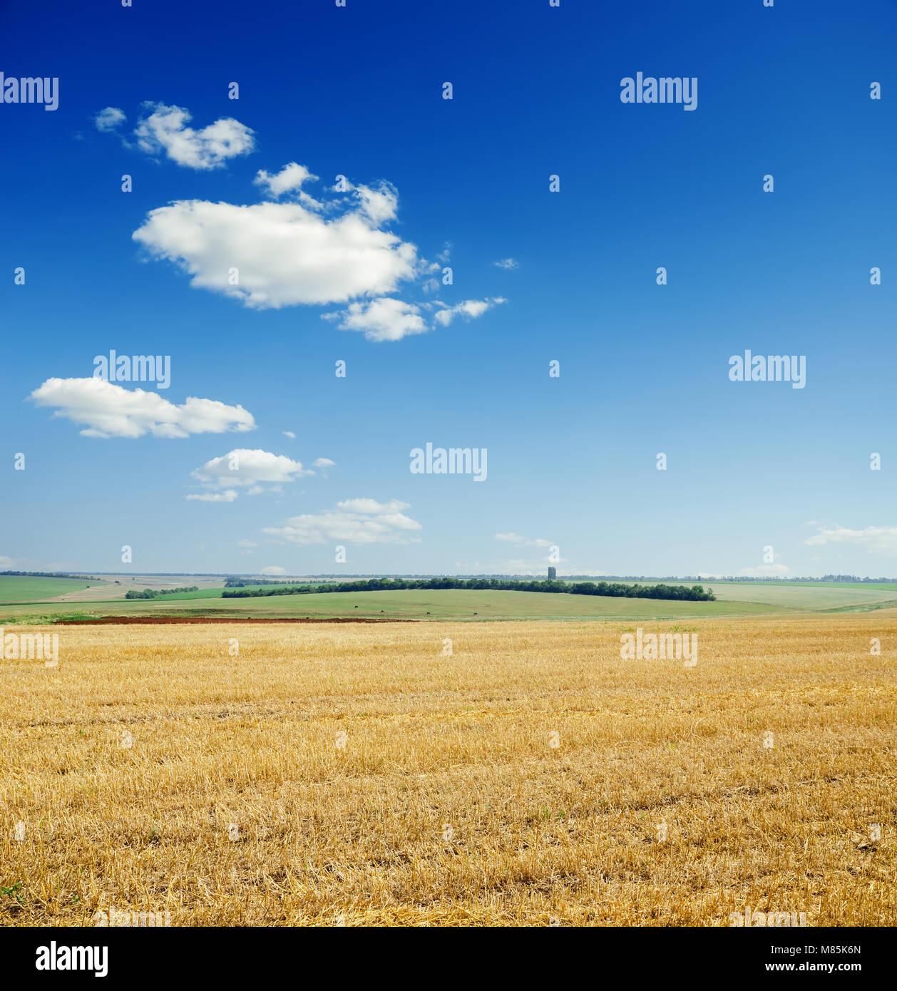 agriculture field after harvesting and blue sky with clouds Stock Photo ...