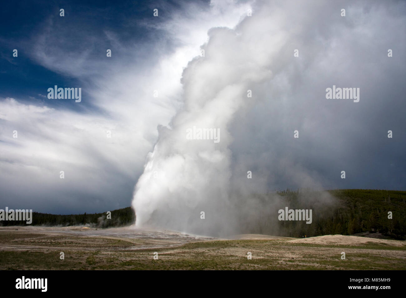 Old Faithful Geyser, Yellowstone National Park, Wyoming, USA Stock Photo