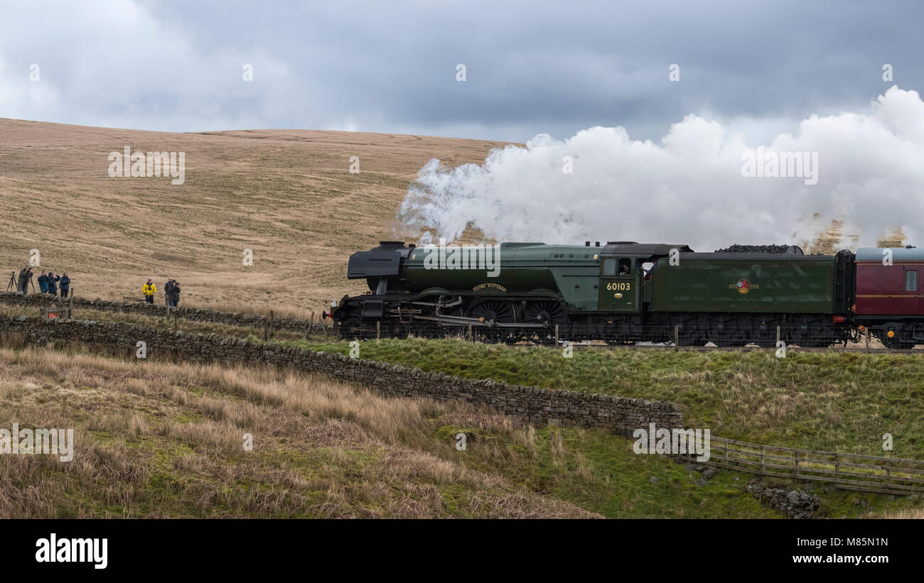 Puffing steam, iconic locomotive LNER class A3 60103 Flying Scotsman travels past rail fans - by Ribblehead Viaduct, North Yorkshire, England, UK. Stock Photo