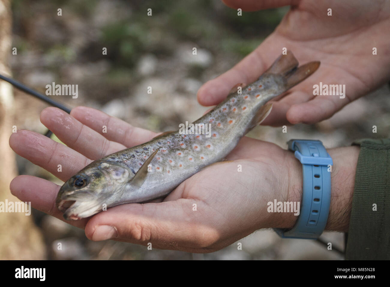 sport fisherman in river, Galicia, Spain. Stock Photo