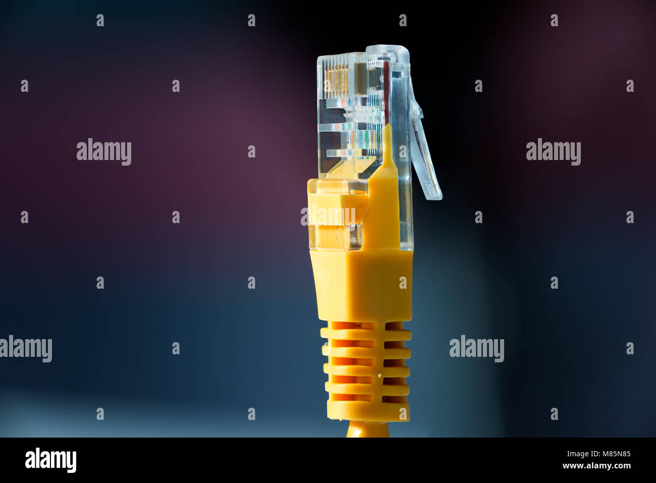 Macro close-up of an Ethernet computer cable Stock Photo