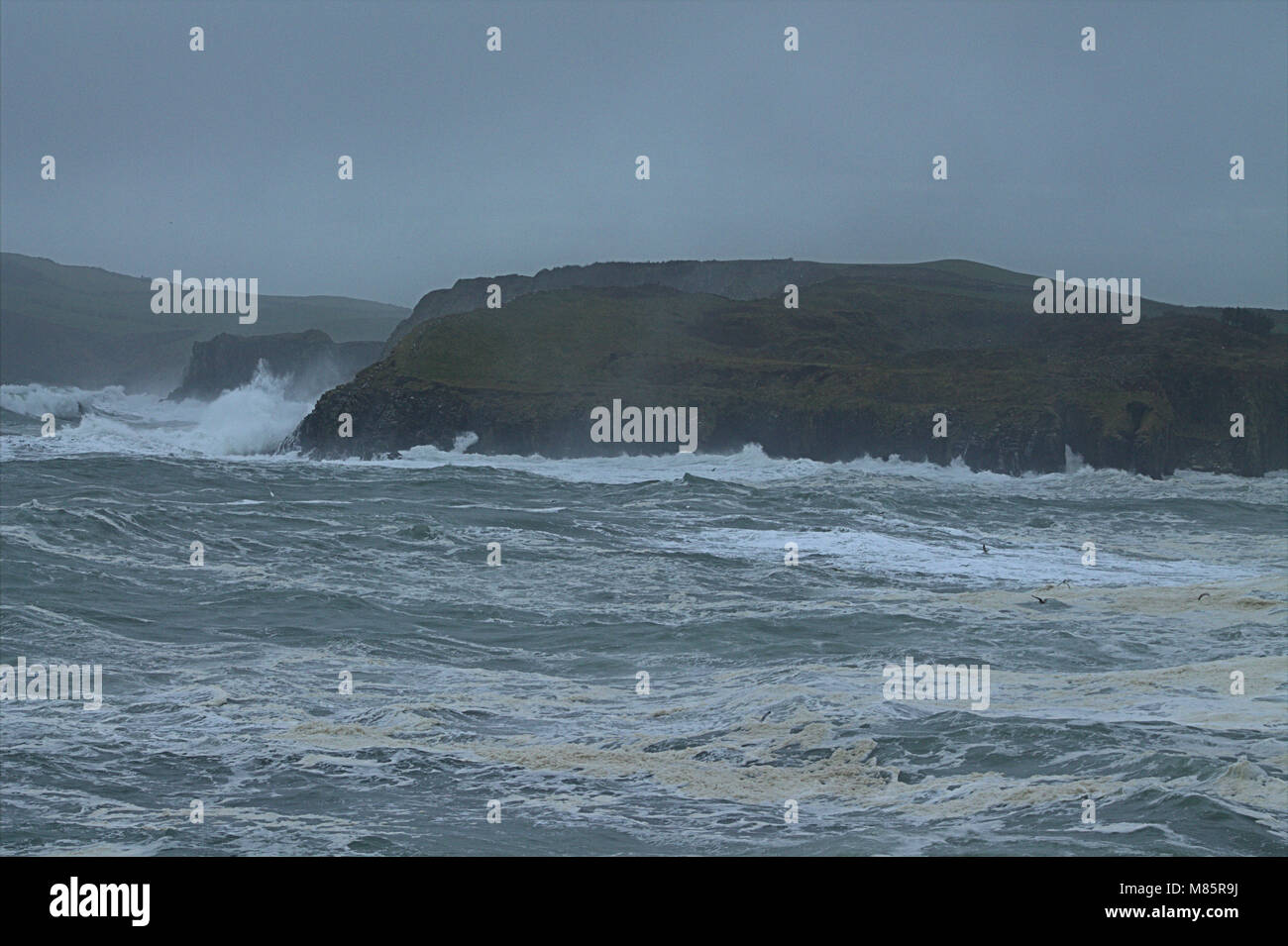 Sandy Cove, Castletownshend, West Cork, Ireland. 14th March, 2018. Huge waves batter the coast, driven by gale force winds. Credit: aphperspective/Alamy Live News Stock Photo