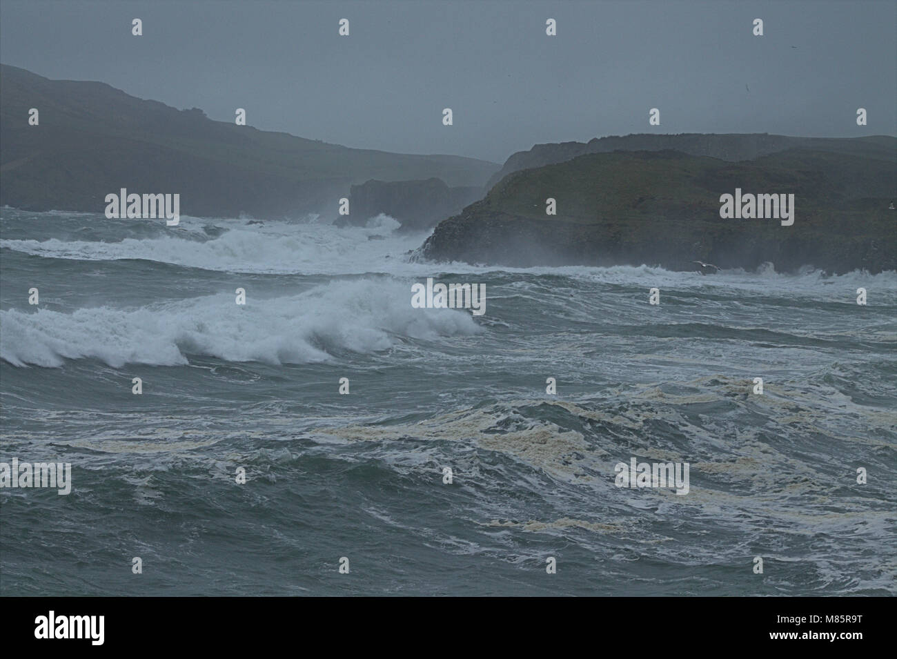 Sandy Cove, Castletownshend, West Cork, Ireland. 14th March, 2018. Huge waves batter the coast, driven by gale force winds. Credit: aphperspective/Alamy Live News Stock Photo