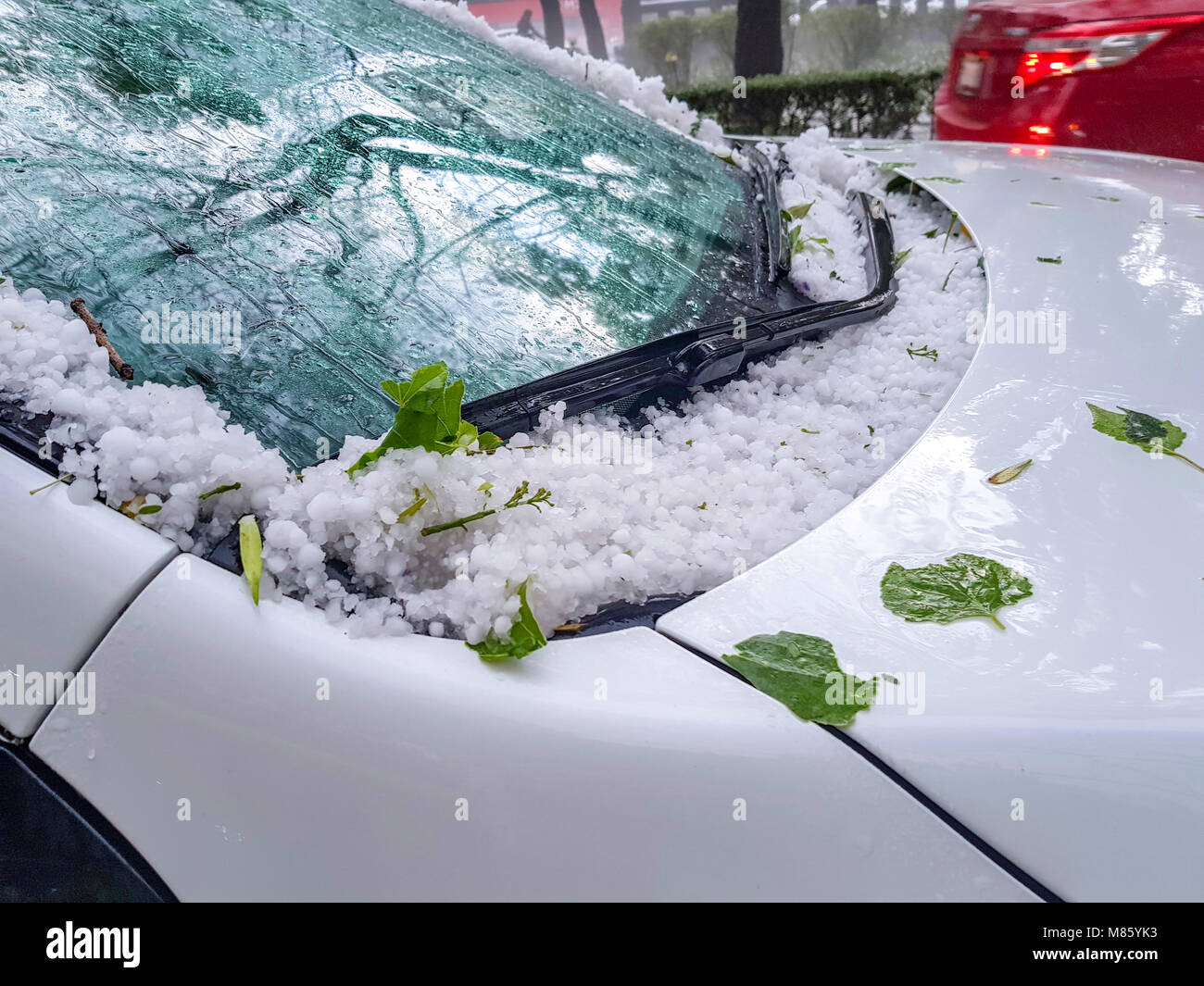Mexico City, Mexico. 14th Mar, 2018. Shower of hail in Mexico City 14.03.2018,Snow on the streets of Mexico. Hail on the streets of Mexico. Credit: Stanislav Minaychenko/Alamy Live News Stock Photo